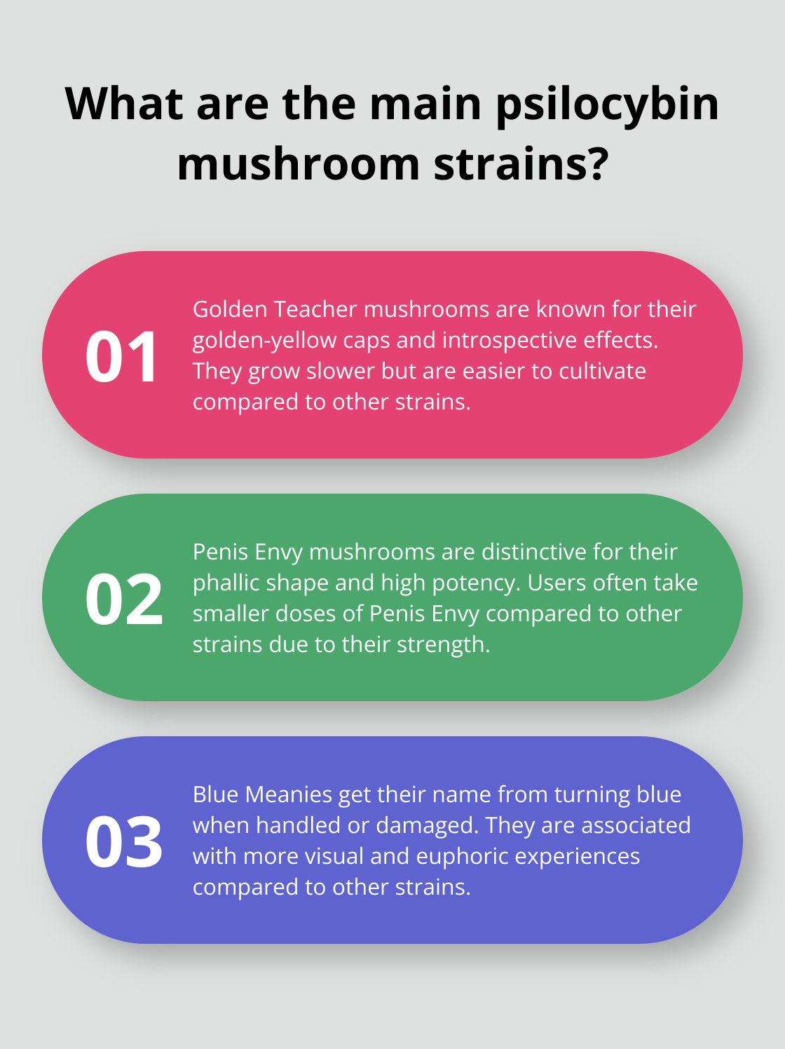 Fact - What are the main psilocybin mushroom strains?