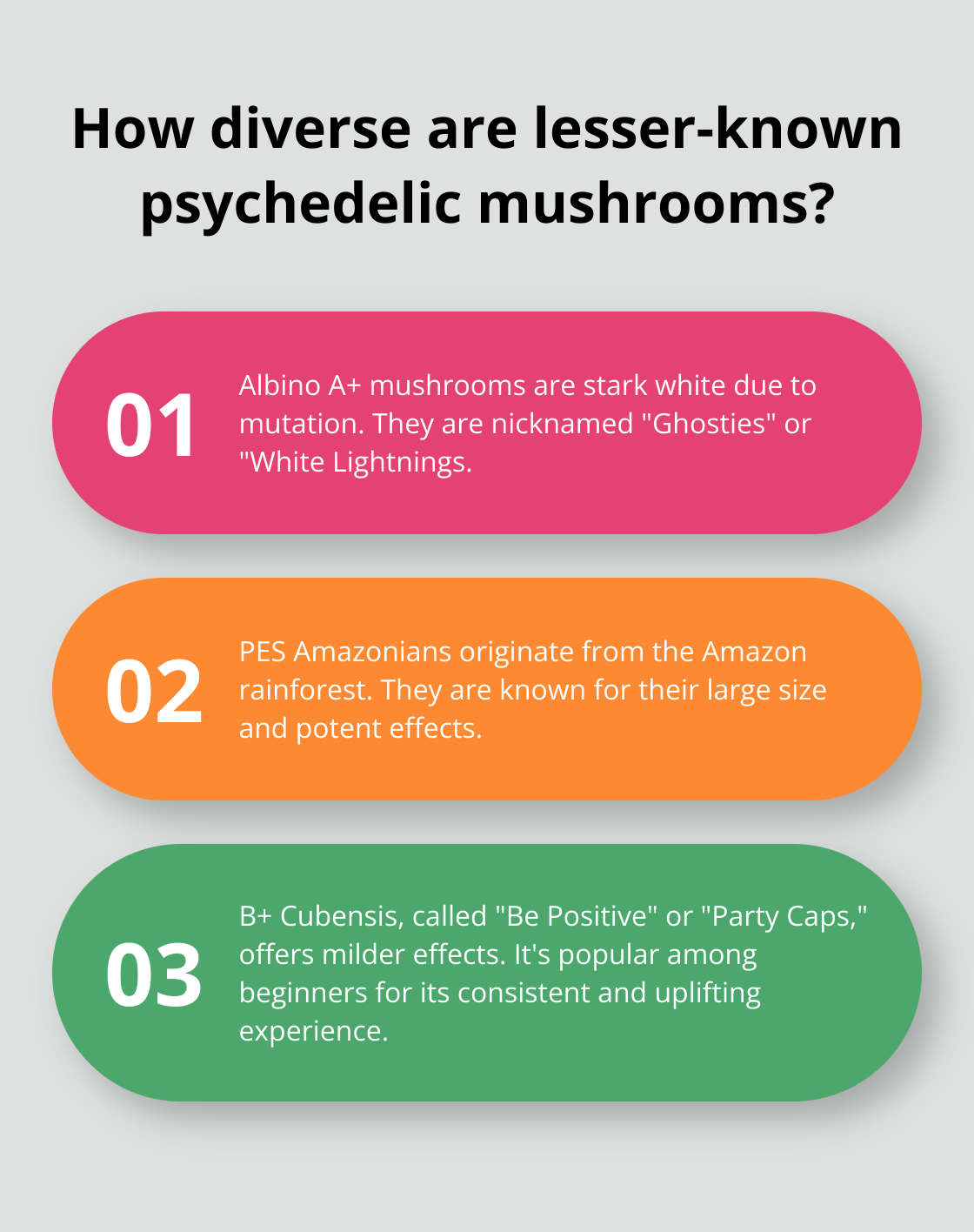 Fact - How diverse are lesser-known psychedelic mushrooms?