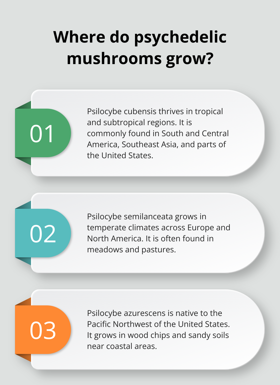 Fact - Where do psychedelic mushrooms grow?