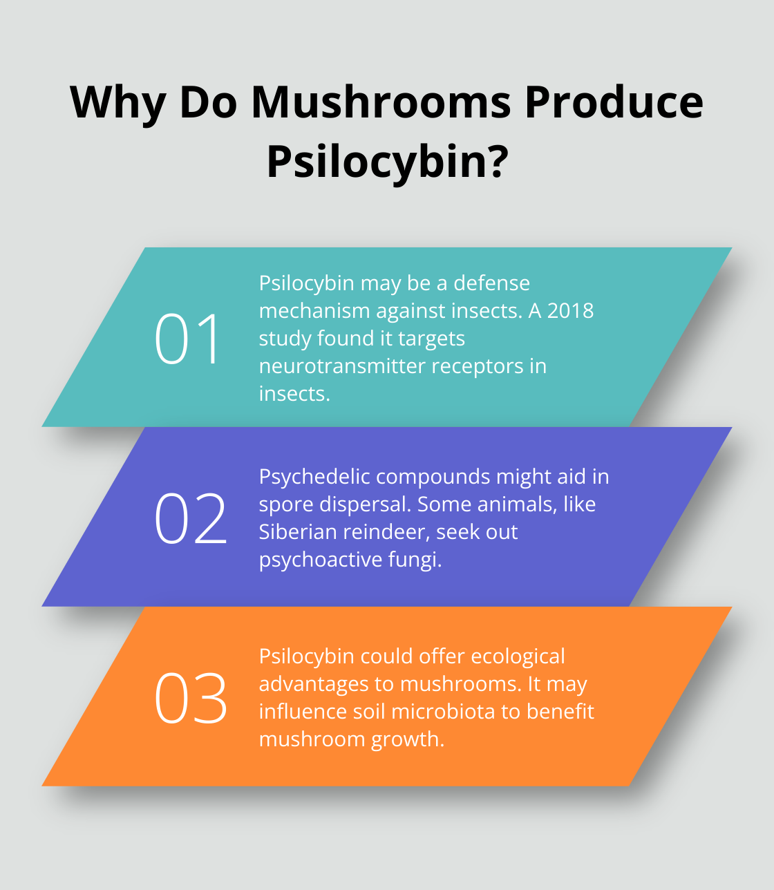 Fact - Why Do Mushrooms Produce Psilocybin?