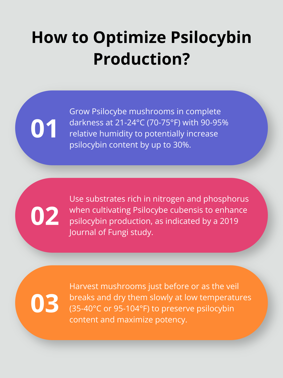 Fact - How to Optimize Psilocybin Production?