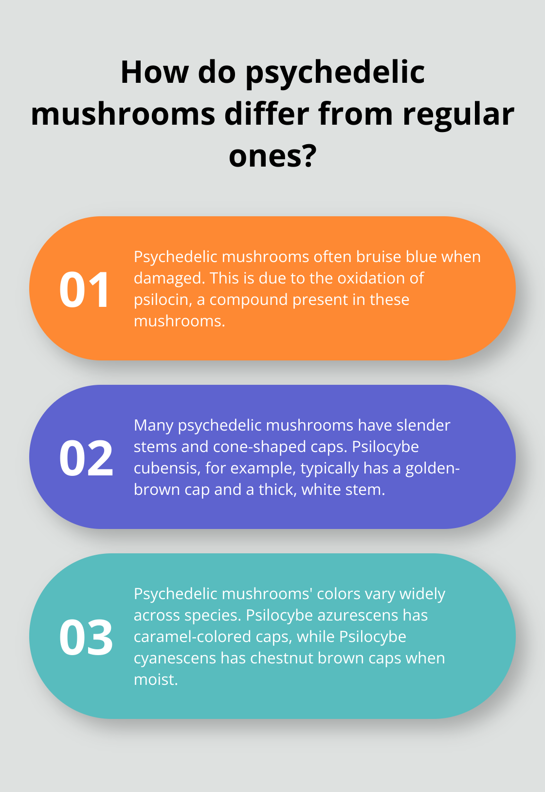 Fact - How do psychedelic mushrooms differ from regular ones?