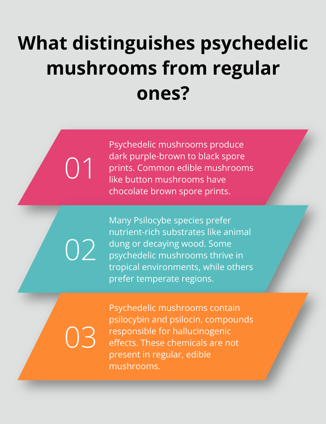 Fact - What distinguishes psychedelic mushrooms from regular ones?